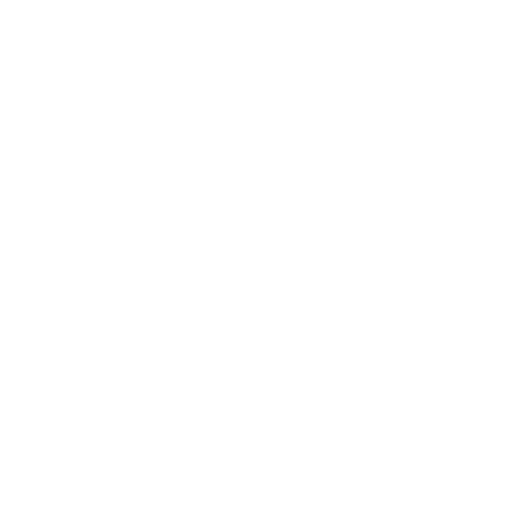 handcuffs